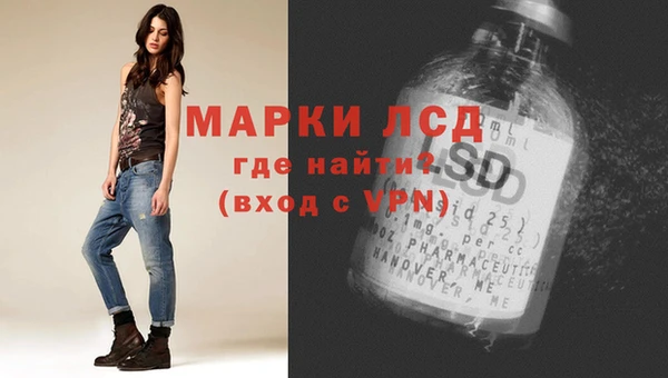 a pvp Аркадак