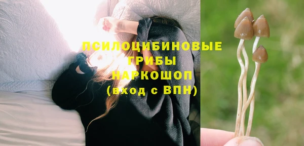 mix Армянск