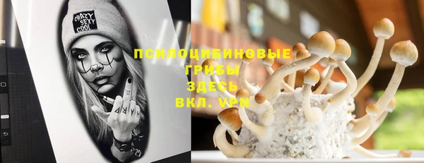 МДПВ Арсеньев
