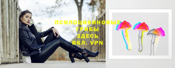 МДПВ Арсеньев
