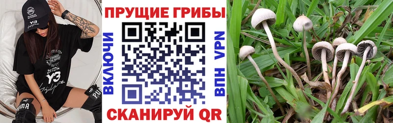 Галлюциногенные грибы MAGIC MUSHROOMS  Давлеканово 